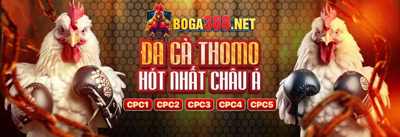 Trang chủ dagac3 link hôm nay – Nền tảng cá cược đá gà trực tuyến hàng đầu 2026